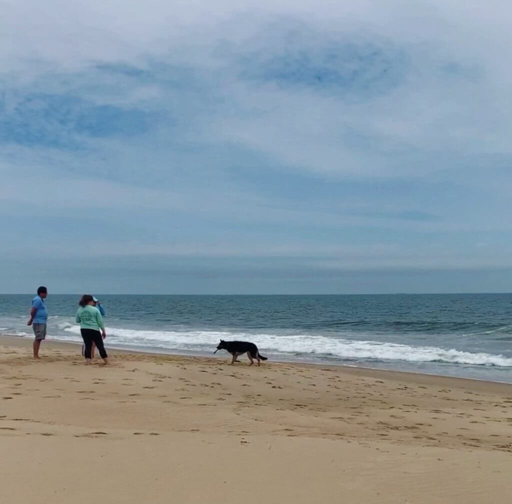 Life along the shore at Bethany Beach, DE