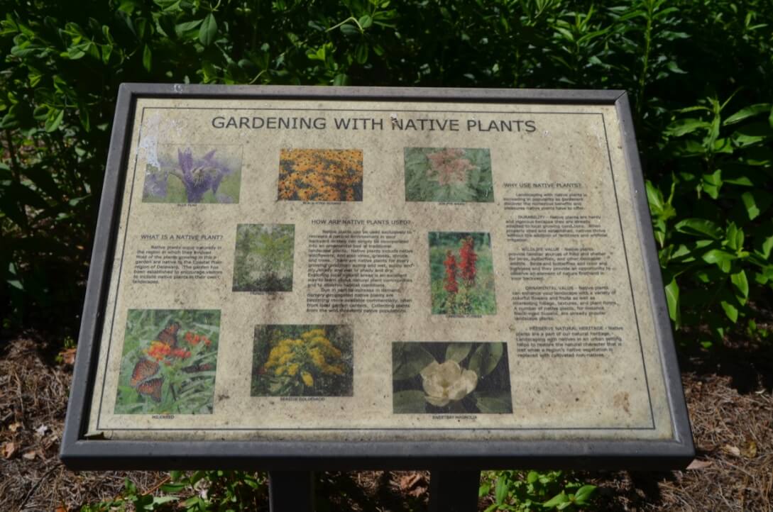 Native Plant Sign- 4 Fun Things to Do in Bethany Beach Delaware