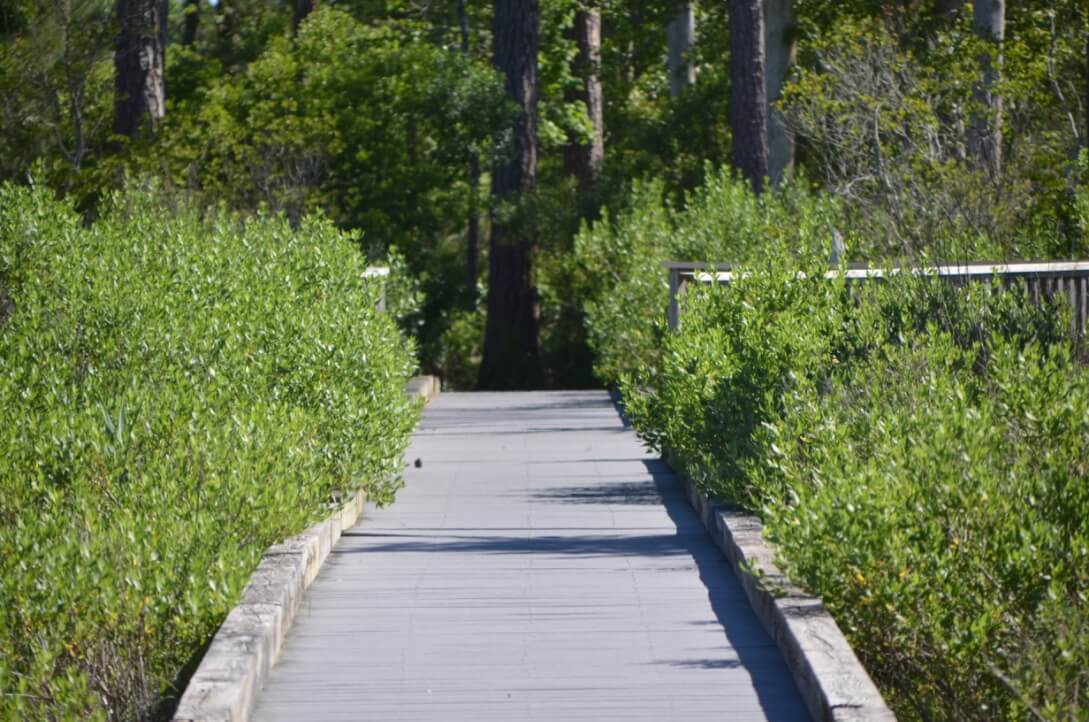 Nature Center Walking Path - 4 Fun Things to Do in Bethany Beach Delaware