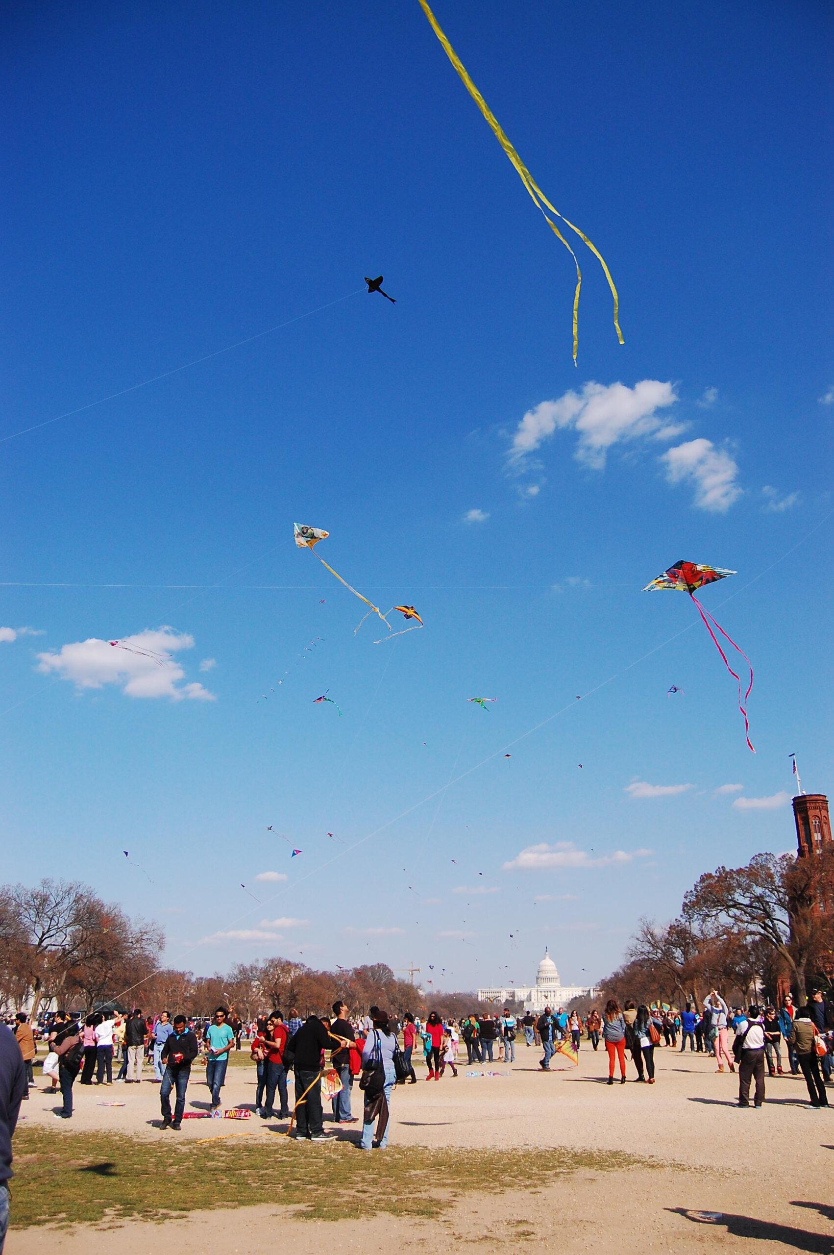 kite flying in DC