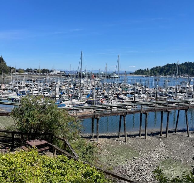 marina full of boats on a blue sky day<br />
